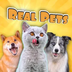 Скачать взлом CatDog Games: Pet Simulator (Риал Петс бай Фруви) [МОД Unlocked] на Андроид
