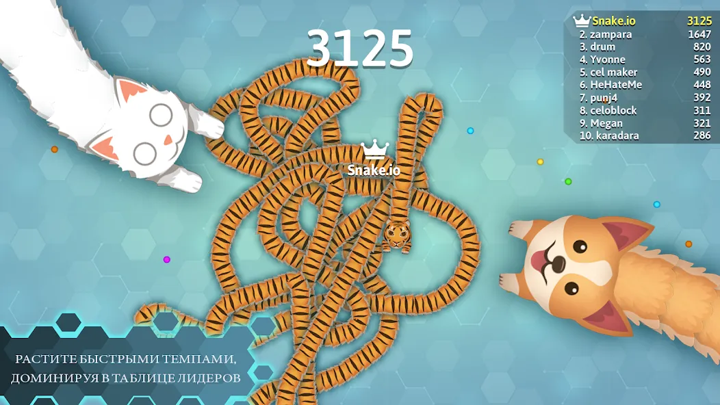 Скачать взлом Snake.io - веселые батл-игры [МОД Все открыто] на Андроид