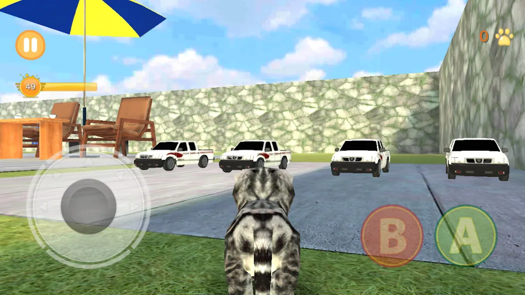 Скачать взлом Котенок Кошка Симулятор 3D [МОД Бесконечные деньги] на Андроид