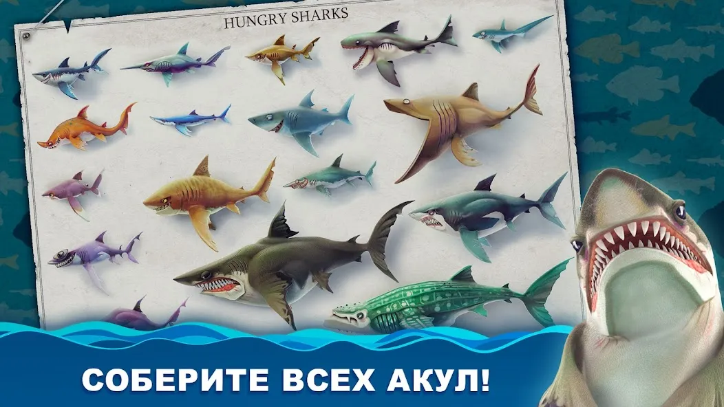 Скачать взлом Hungry Shark World (Хангри Шарк Ворлд) [МОД Unlocked] на Андроид