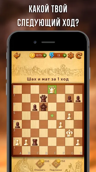 Скачать взлом Шахматы онлайн Clash of Kings  [МОД MegaMod] на Андроид
