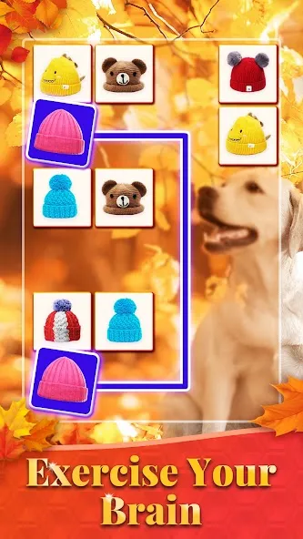 Скачать взлом Onet 3D - Puzzle Matching game (Онет 3Д) [МОД Бесконечные деньги] на Андроид