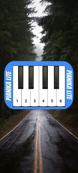 Скачать взлом Pianika Lite - Basuri (Пианика Лайт) [МОД Много денег] на Андроид