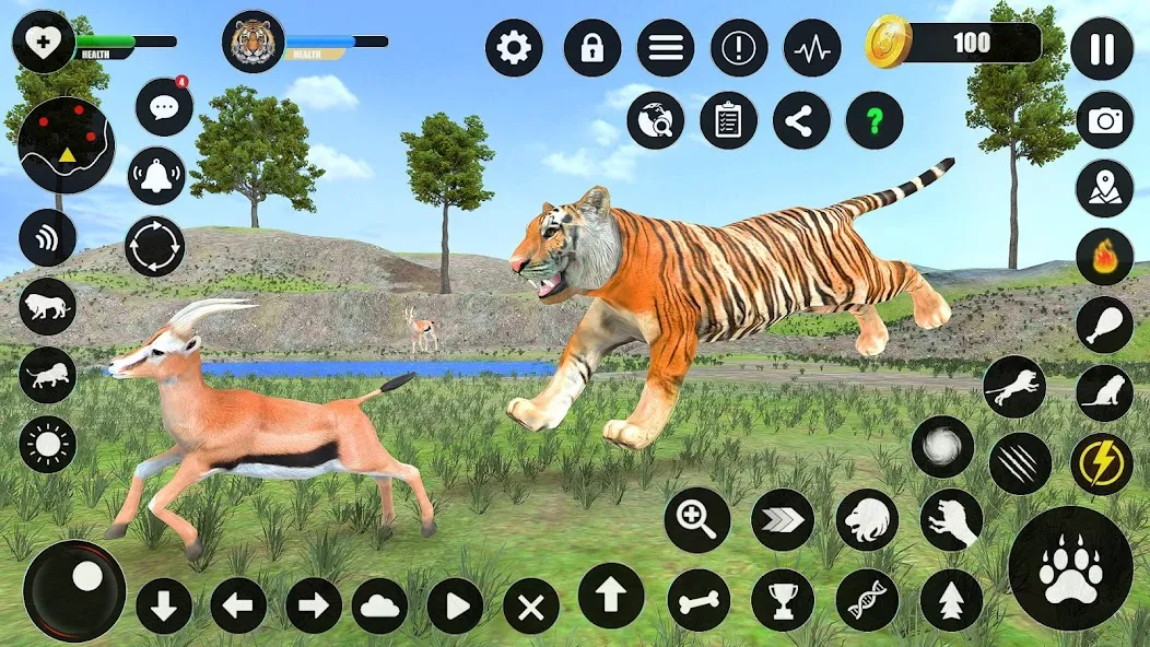 Скачать взлом Игры животных симулятора тигра (Тигровый симулятор игры с животными) [МОД Бесконечные деньги] на Андроид